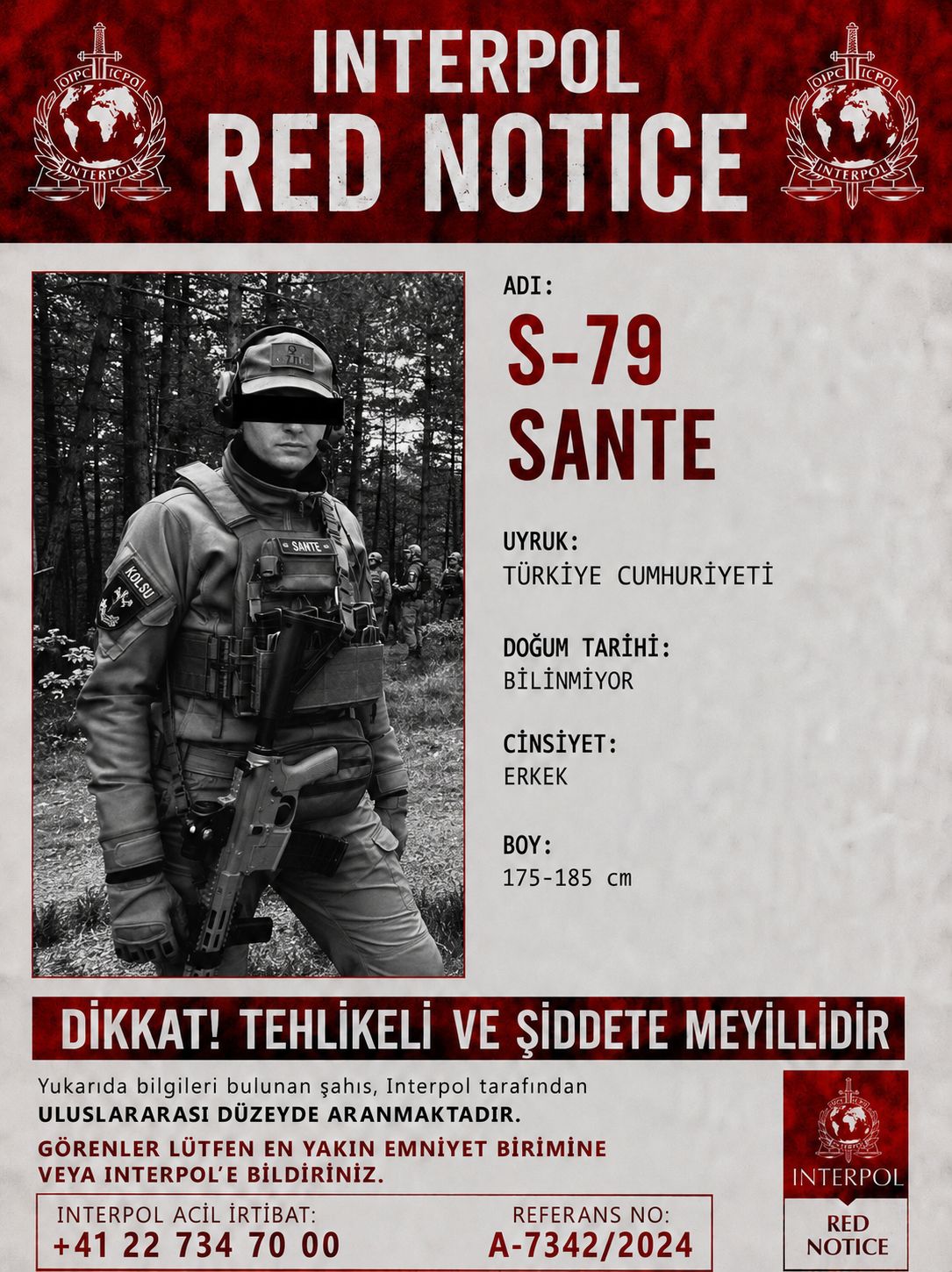 Destek